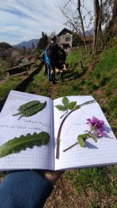 75CB2605-837E-4AC9-BB51-E46E71190F75