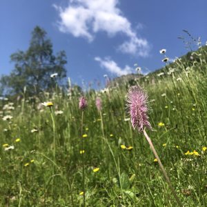 2B82A516-E34B-4896-8AE1-09668D581C8B