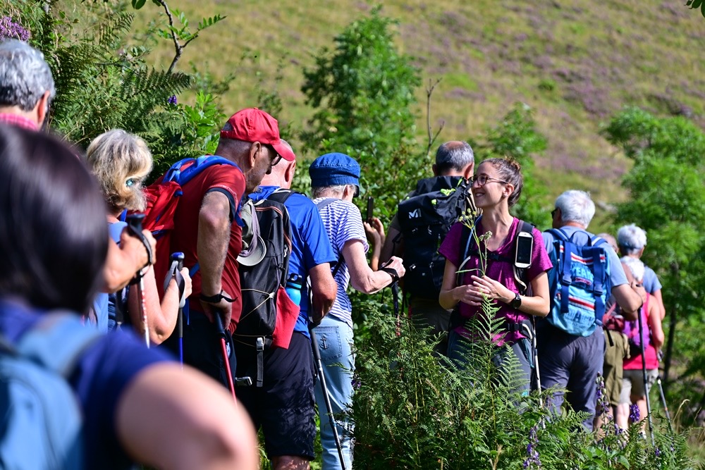 a03ac237-afe2-4758-95e1-7fd3314bd67e